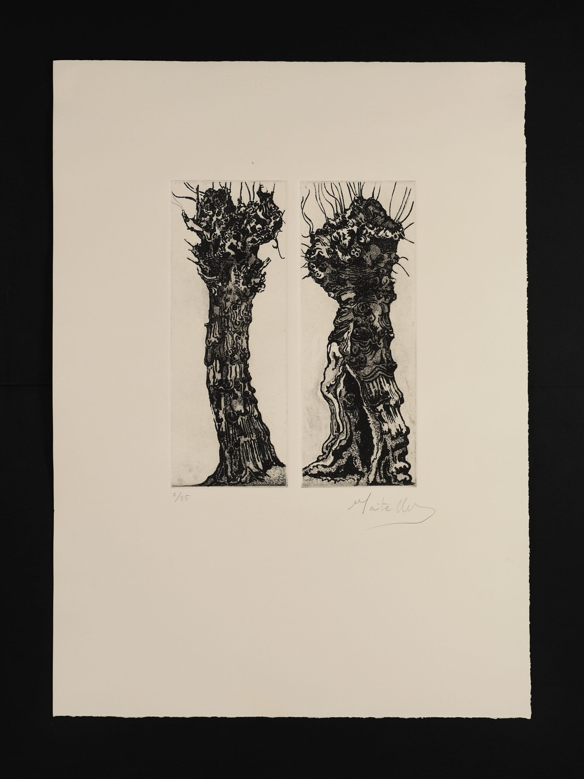 Grabado Maite Ubide titulado Adán y Eva (Árboles desnudos)