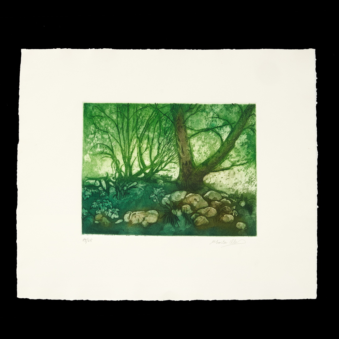 Grabado Maite Ubide titulado El bosque encantado